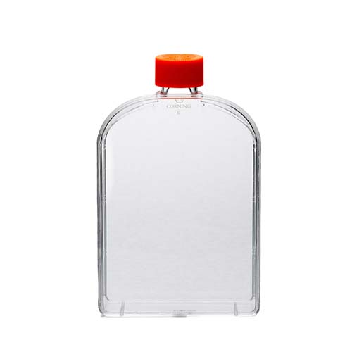 Corning® 175cm² U形角度颈细胞培养瓶，带密封盖 Corning® 175cm² U-Shaped Angled Neck Cell Culture Flask with Plug Seal Cap